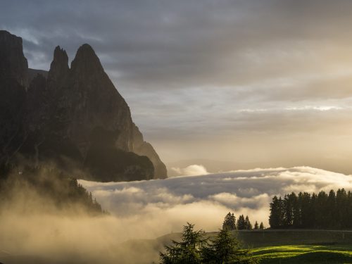 Schlern Natur Wandern Erlebnis Sport Sonne Ausblick Ruhe Blumen